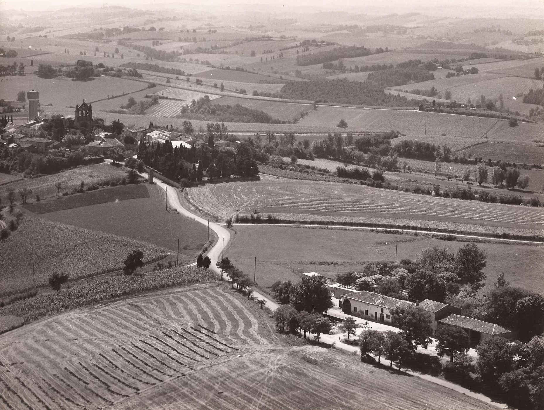 Champs du Lauragais